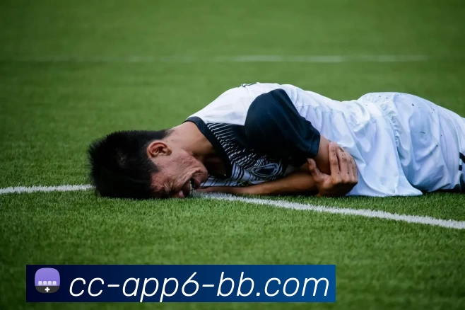 贝博体育APP 封面图